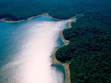 reserva-florestal-do-morro-grande